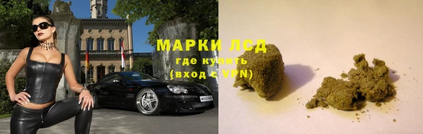 Альфа ПВП Ладушкин